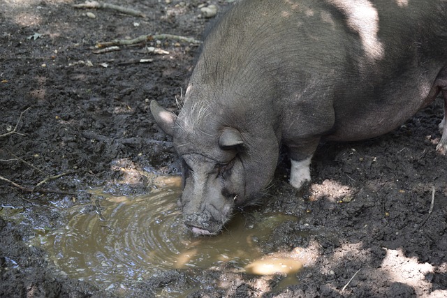 每一场英超 每一场英超