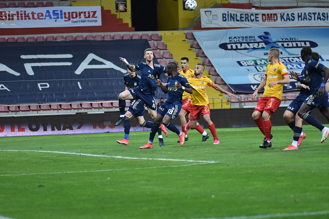 沙文化理解 沙文化理解