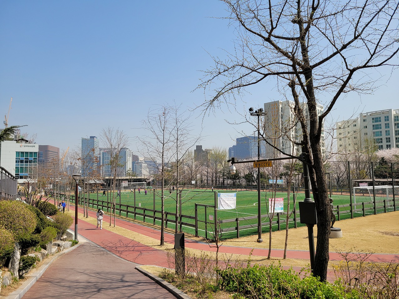 的广泛关注 的广泛关注