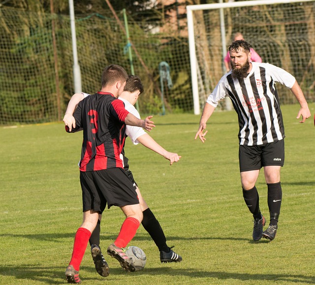 霍奇森无疑 霍奇森无疑