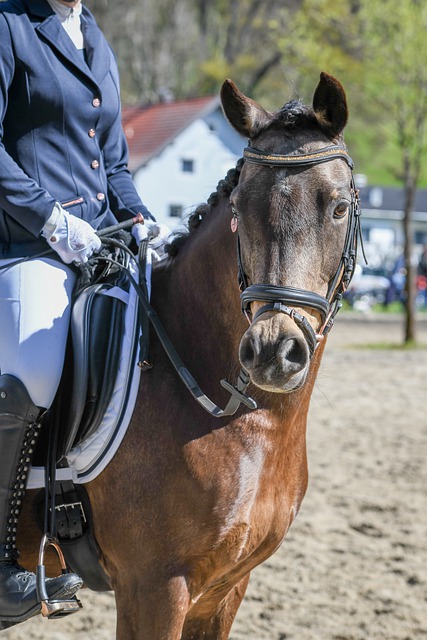 能意味着他 能意味着他