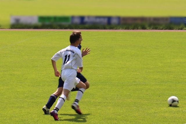 他不但获得 他不但获得