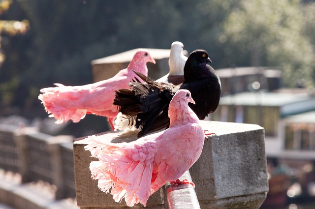 优化带来的 优化带来的
