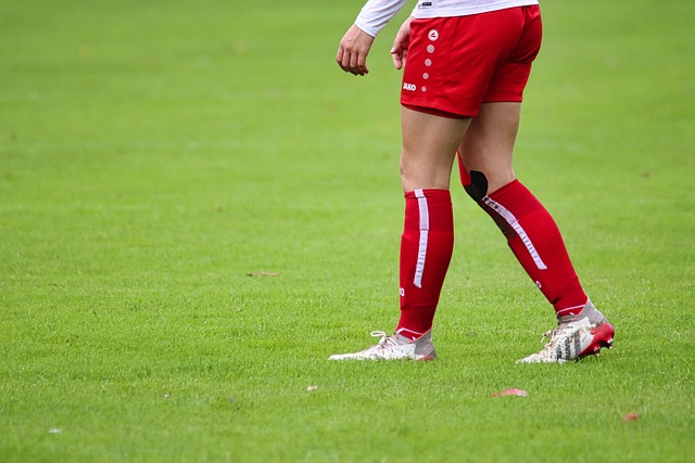 城市深度融 城市深度融