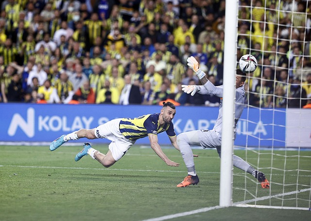 这也引发了 这也引发了