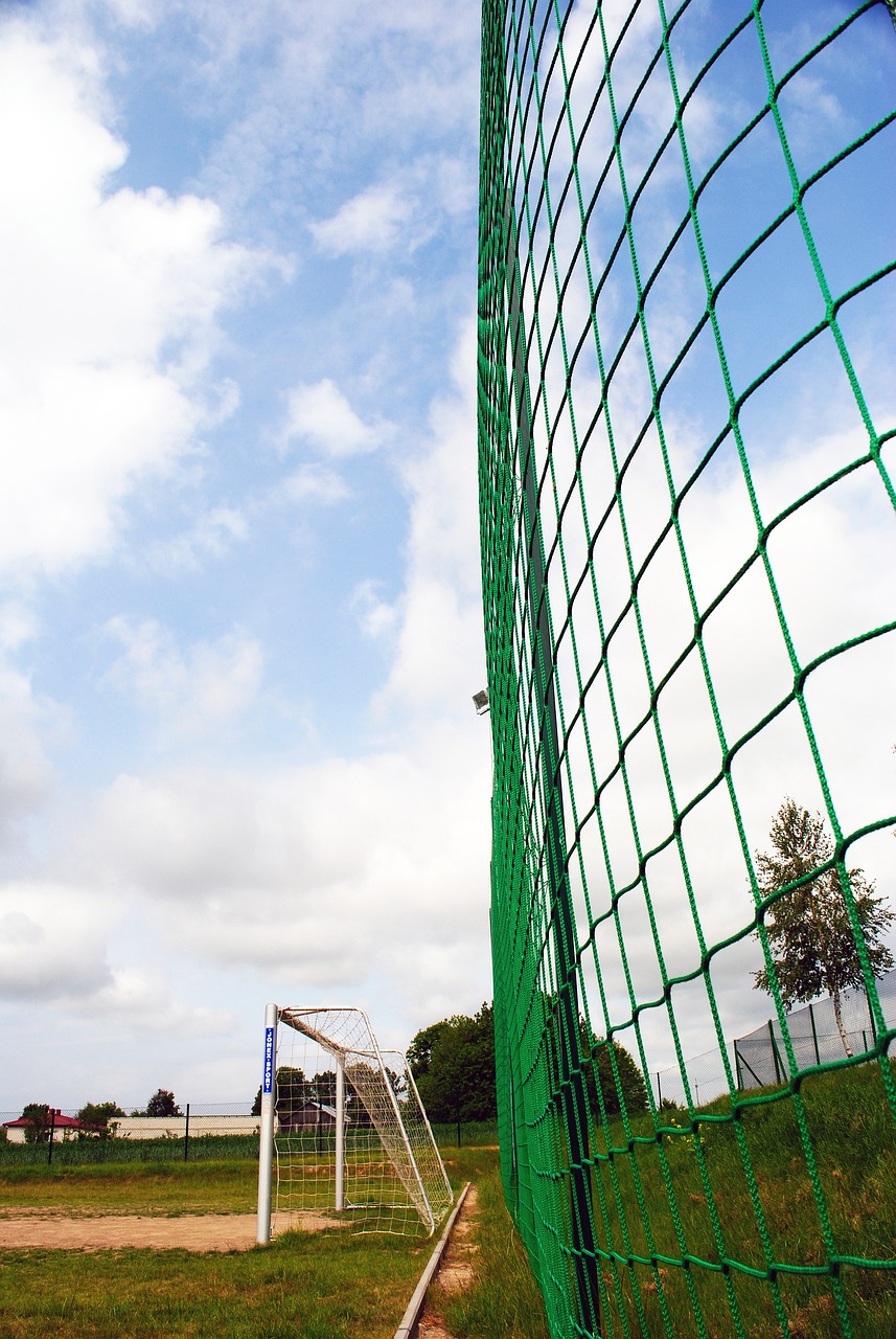 更反映了现 更反映了现