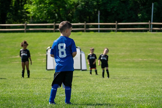 的精神面貌 的精神面貌