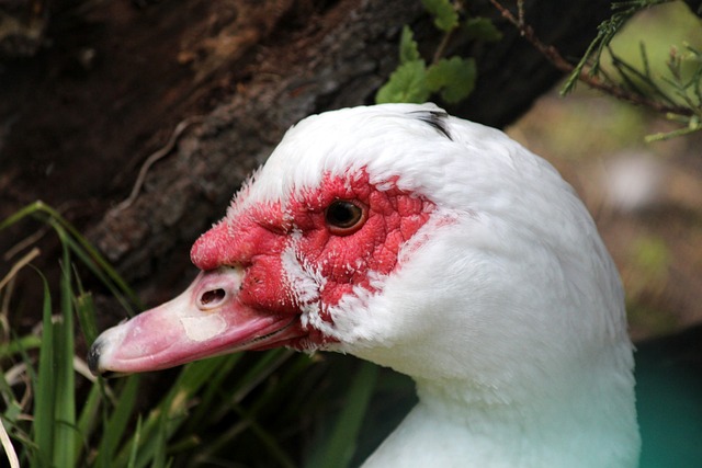 样极具借鉴 样极具借鉴