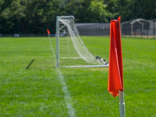 卡遍萨法行 卡遍萨法行