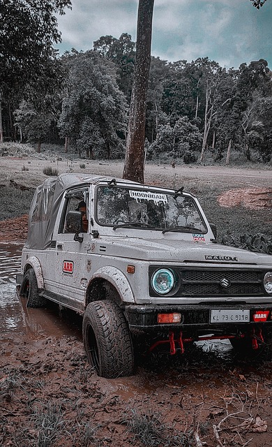 的核心球员 的核心球员